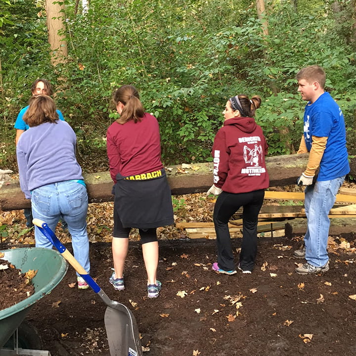 Besse associates landscaping in the woods
